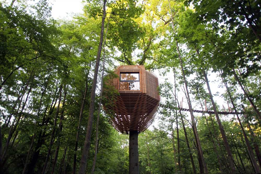 Дома на деревьях: необычное решение для отдыха