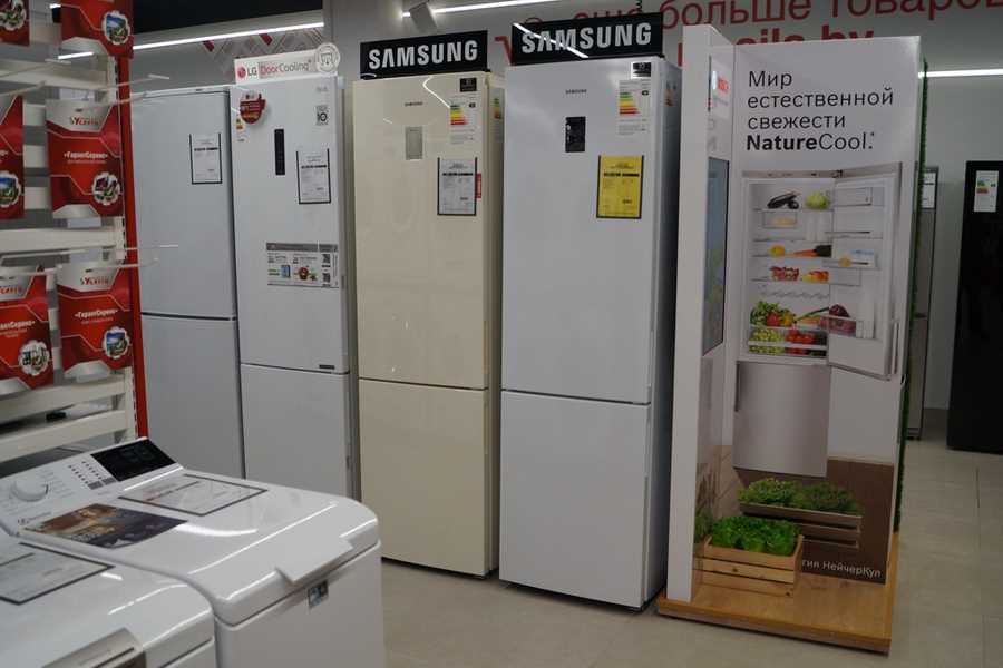 Как подобрать и правильно использовать промышленные холодильники для бизнеса
