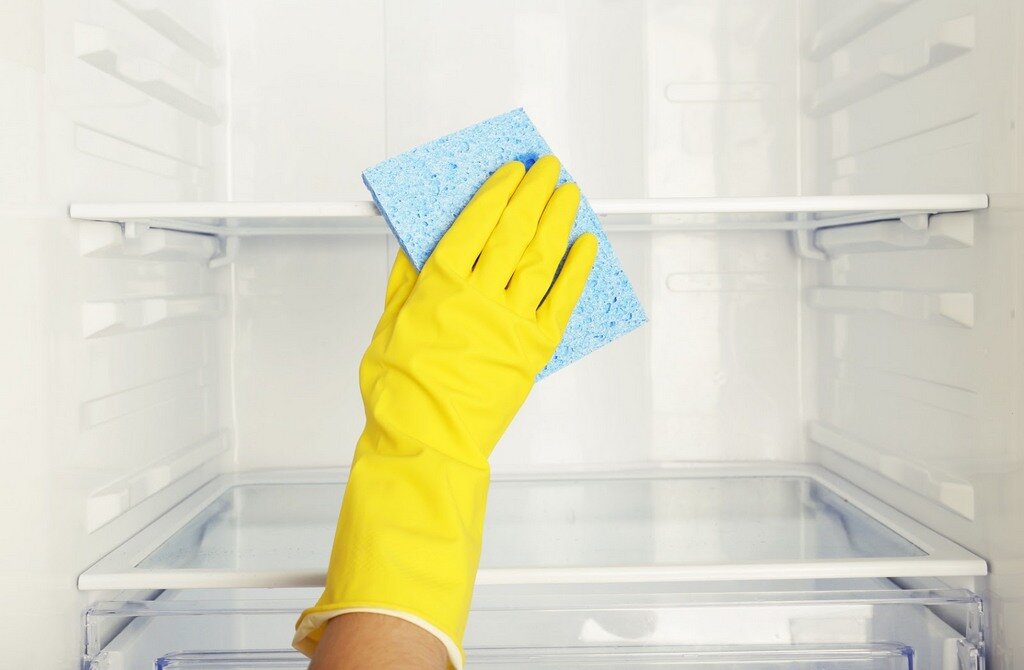 Как правильно ухаживать за холодильником и продлить его срок службы
