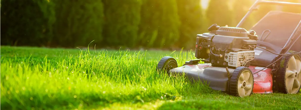 Как выбрать лучшую газонокосилку для вашего газона