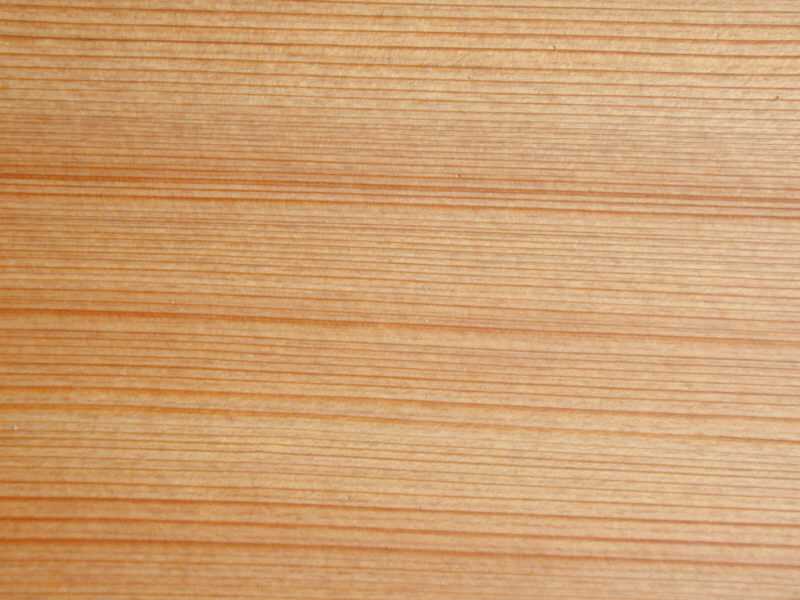Как выбрать правильную древесину для строительства дома