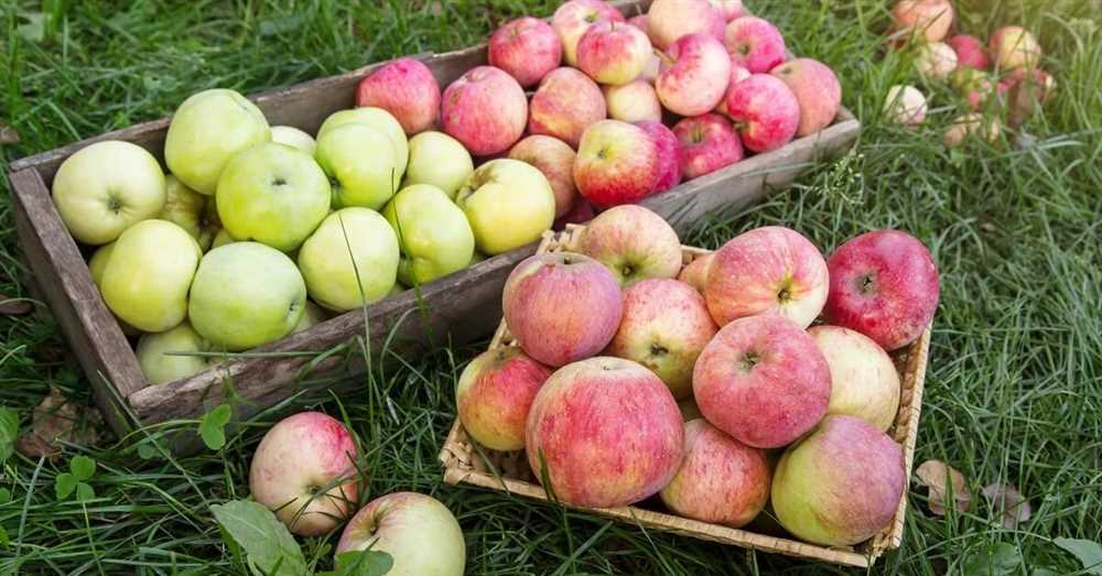 Лучшие сорта яблонь для сада и огорода