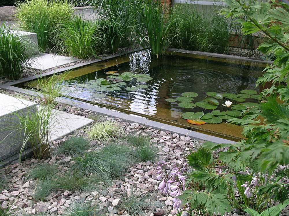 Садовые пруды: как создать место для расслабления и красоты