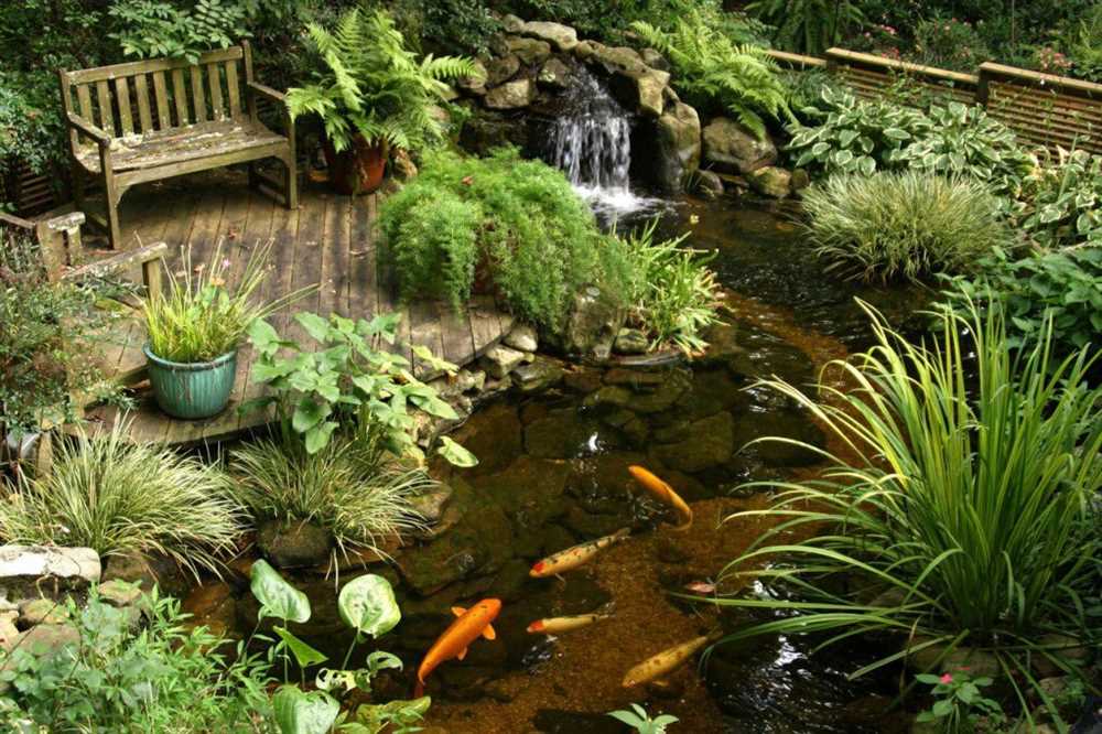 Садовые водоемы: создание и уход